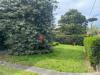 Villa in vendita con giardino a Viareggio - ex campo di aviazione - 04