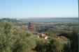 Rustico in vendita con giardino a Massarosa - pieve a elici - 03