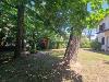 Villa in vendita con giardino a Viareggio - citt� giardino - 06