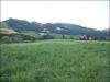 Rustico in vendita a Rotella - 05, Foto 5
