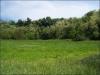 Terreno Agricolo in vendita a Sant'Egidio alla Vibrata - 02, Foto 2