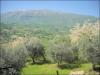 Appartamento in vendita a Folignano - 03, Foto 3