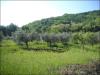 Terreno Agricolo in vendita a Ascoli Piceno - 05, Foto 5