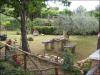 Casa indipendente in vendita a Civitella del Tronto - 03, Foto 3