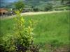 Appartamento in vendita a Ascoli Piceno - 04, Foto 4
