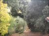 Villa in vendita a Roma - 06, Foto 6