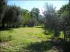 Casa indipendente in vendita a Ascoli Piceno - 03, Foto 3