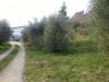 Casa indipendente in vendita con giardino a Ascoli Piceno - 05, Foto 5