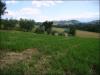 Terreno Agricolo in vendita a Civitella del Tronto - 03, Foto 3