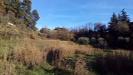 Terreno Agricolo in vendita a Ascoli Piceno - 03, Foto 3