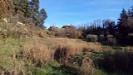 Terreno Agricolo in vendita a Ascoli Piceno - 05, Foto 5