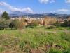 Terreno Edificabile in vendita a Ascoli Piceno - 06, Foto 6