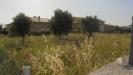 Terreno in vendita a Rosciano - villa oliveti - 06