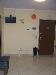 Appartamento in affitto a Chieti - 08, Foto 8