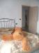 Appartamento in affitto a Chieti - 04, Foto 4