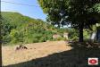 Rustico in vendita con giardino a Pontinvrea in via davide vignolo 38 - 05, Il terreno