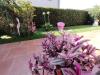 Villa in vendita con giardino a Massa - marina di - 05