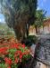 Villa in vendita con giardino a Massa - mirteto - 06