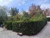 Casa indipendente in vendita con giardino a Massa - ronchi - 05