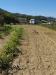 Terreno Edificabile in vendita a San Giovanni Teatino in via umbria - 02, Foto 2