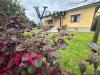 Casa indipendente in vendita con giardino a Forte dei Marmi - 08, Foto 8
