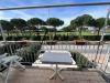 Appartamento in vendita con giardino a Rosignano Marittimo in via nuova dei cavalleggeri - 10, Foto 10