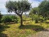 Villa in vendita con giardino a Pietrasanta in via della chiusa - 10, Foto 10