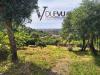 Villa in vendita con giardino a Pietrasanta in via della chiusa - 02, Foto 2