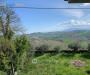 Casa indipendente in vendita a Carassai - 05, Foto 5