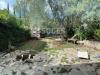 Casa indipendente in vendita con giardino a Pontassieve in via di santa brigida - 03, Foto 3