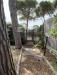 Villa in vendita a Orbetello in strada provinciale 36 della giannella 142 - 03, Foto 3