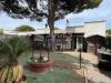 Villa in vendita a Orbetello in strada provinciale 36 della giannella 142 - 06, Foto 6