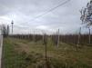 Terreno Agricolo in vendita a Ferrara in via corazza - 03, Foto 3