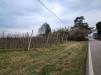 Terreno Agricolo in vendita a Ferrara in via corazza - 04, Foto 4