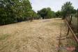 Terreno in vendita a Colle di Val d'Elsa - le grazie - 03