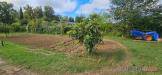 Terreno in vendita a Poggibonsi - 02