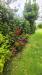 Villa in vendita con giardino a San Giuliano Terme - asciano - 03