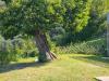 Villa in vendita con giardino a Moneglia in localit comeglio 77 - 03, Foto 3