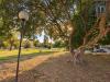 Appartamento in vendita con giardino a Roma in viale alfredo ottaviani 85 - 10, Foto 10