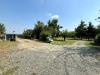 Appartamento in vendita con giardino a Alessandria - 05, Foto 5
