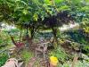 Villa in vendita con giardino a Alessandria - 06, Foto 6