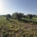 Terreno in vendita a Gavorrano - 03