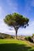 Villa in affitto arredato a Arezzo - 02