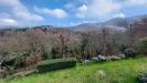 Villa in affitto arredato a Arezzo - 04