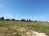 Terreno Agricolo in vendita a Ugento - 07, IMG_20190429_100351.jpg