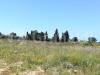Terreno Agricolo in vendita a Ugento - 08, IMG_20190429_100357.jpg