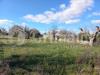 Terreno Agricolo in vendita a Ugento - 06, WhatsApp Image 2023-02-07 at 16.11.20 (2)_risultat