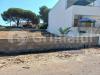 Terreno Edificabile in vendita a Taviano - 04, 20230727_101246.jpg