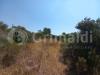 Terreno Agricolo in vendita a Ugento - 05, WhatsApp Image 2026-06-24 at 12.34.16 (3).jpeg