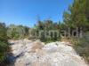 Terreno Agricolo in vendita a Ugento - 08, WhatsApp Image 2026-06-24 at 12.34.16 (2).jpeg